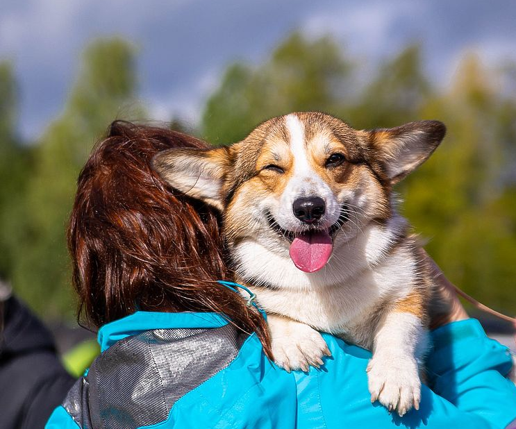 топ 10.png топ 10.png