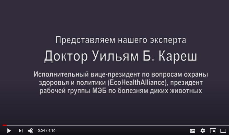 видеоролик.jpg видеоролик.jpg