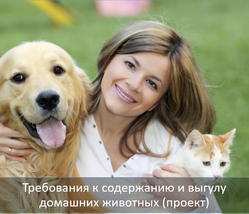 собака правила 3 без сетки.jpg