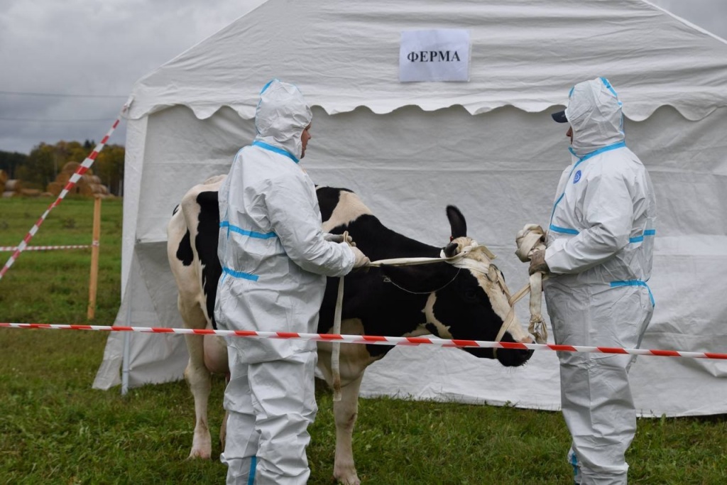 dbhlqypmig5t2i1kp4tu47vi8xvss8s3.jpg dbhlqypmig5t2i1kp4tu47vi8xvss8s3.jpg