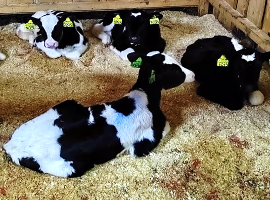 АО «Путь Ильича» Завьяловский.png