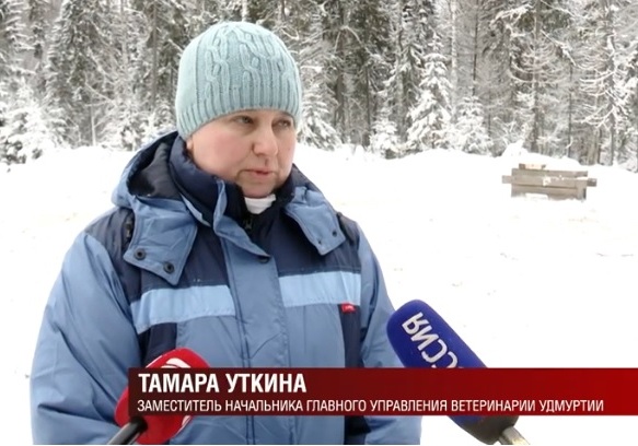 Уткина Т.Н..jpg Уткина Т.Н..jpg