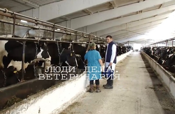 Люди дела. Ветеринария.jpg