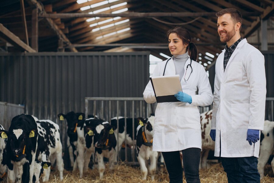 ветеринары и ферма.jpg