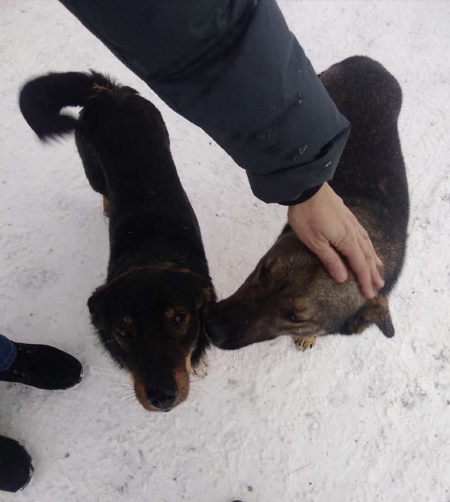 mZKOGbUHrVQ.jpg mZKOGbUHrVQ.jpg