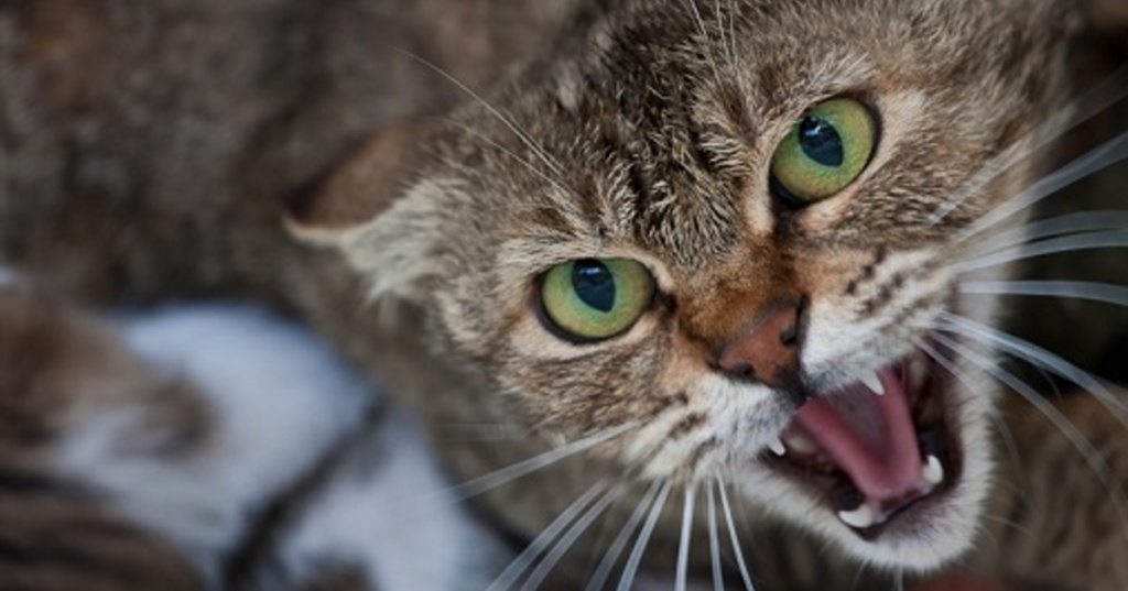 ahT6XKhFTws.jpg ahT6XKhFTws.jpg