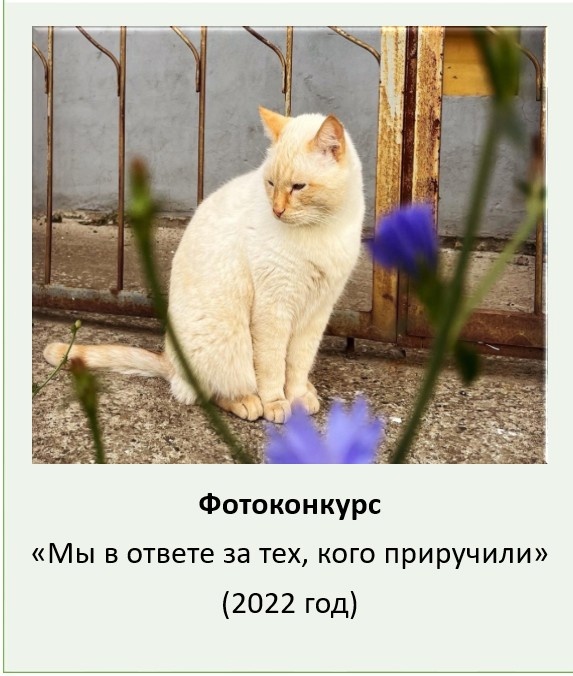 neMMAYHzEqs0u0mk00AYnIGHKlhDvFxOlHPbXfJbkzMQ2BCSc_apmSPYk5Aw2rSjXyECMy1EddEl6FfuAQSVYzl6.jpg neMMAYHzEqs0u0mk00AYnIGHKlhDvFxOlHPbXfJbkzMQ2BCSc_apmSPYk5Aw2rSjXyECMy1EddEl6FfuAQSVYzl6.jpg