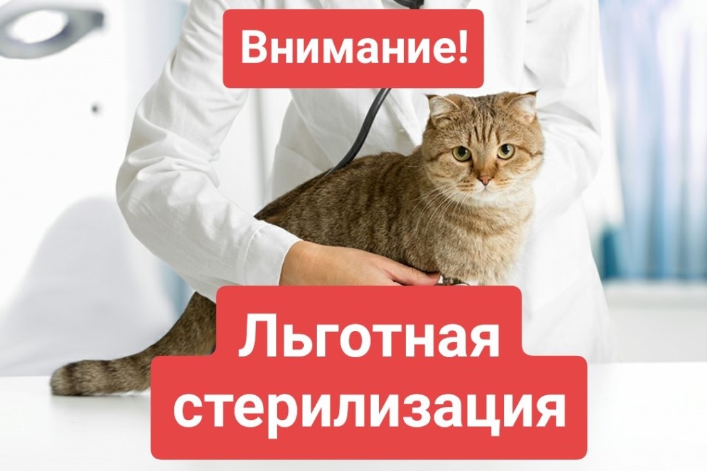 EdoE1y6XoAA59Mc.jpg EdoE1y6XoAA59Mc.jpg