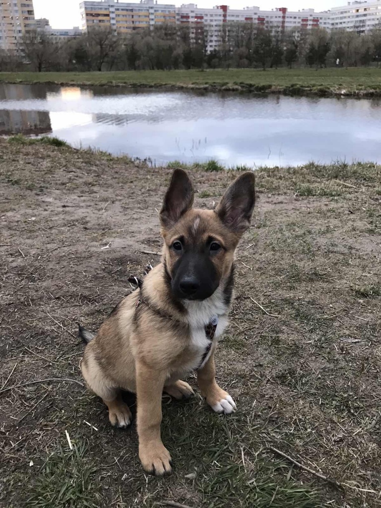 Ирина обрезан.jpg