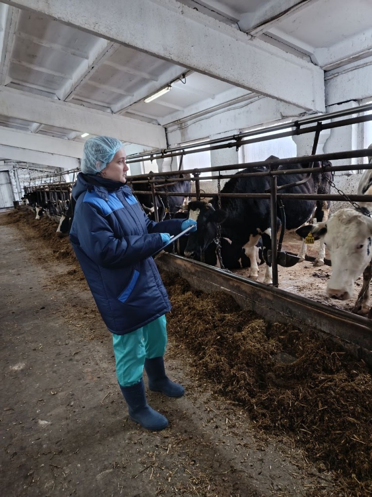 hjc5j2mdk0kbwipat0hssaretr49s52p.jpg hjc5j2mdk0kbwipat0hssaretr49s52p.jpg