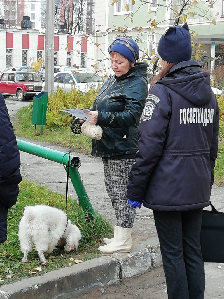 IMG_20201015_080147.jpg IMG_20201015_080147.jpg